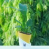 Peace-Lily-Plant-With-yellow